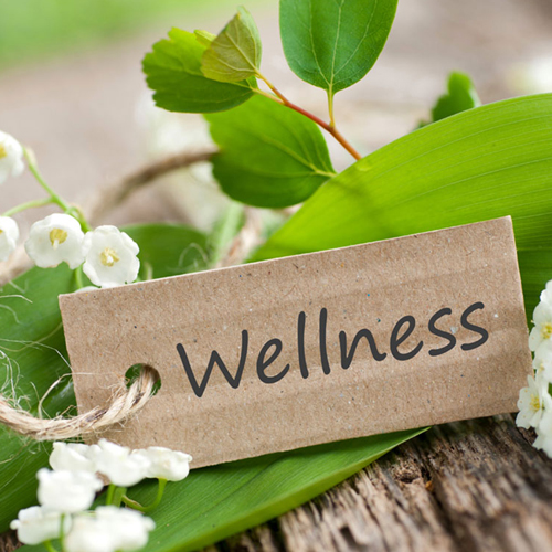 General Wellbeing
